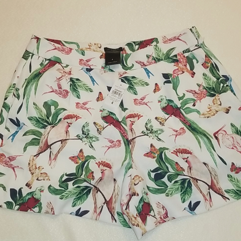 Ann Taylor shorts